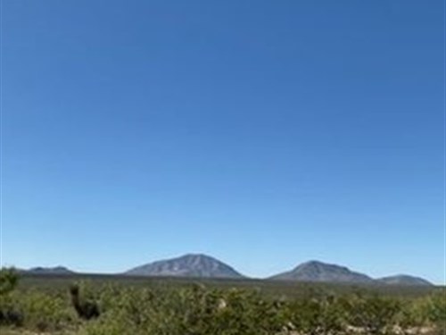 Own 20 Acres Today for $0 Down : Sierra Blanca : Hudspeth County : Texas