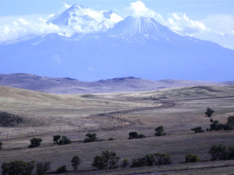 Mount Shasta Estate : Montague : Siskiyou County : California