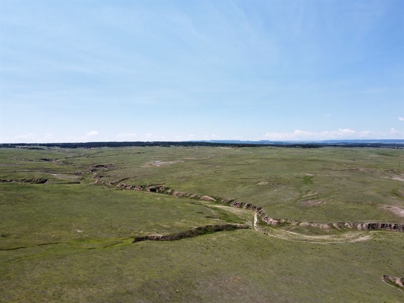 Station Gulch Ranches : Calhan : Elbert County : Colorado