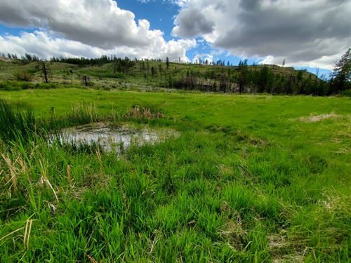 Figlenski Springs Ranch : Riverside : Okanogan County : Washington