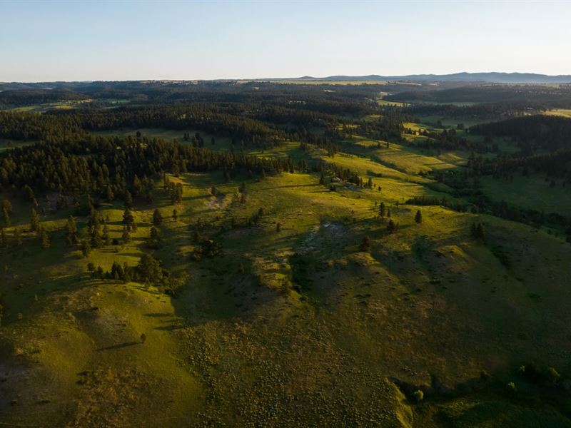 Little Houston Creek Ranch : Sundance : Crook County : Wyoming