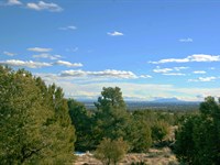 Arizona's Sierra Mountain Ranch : Saint Johns : Apache County : Arizona
