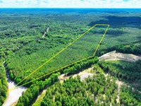 22 Acres Timberland Jackson TN : Henderson : Chester County : Tennessee
