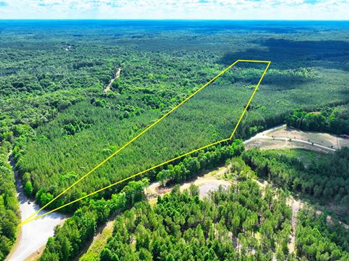 22 Acres Timberland Jackson TN : Henderson : Chester County : Tennessee