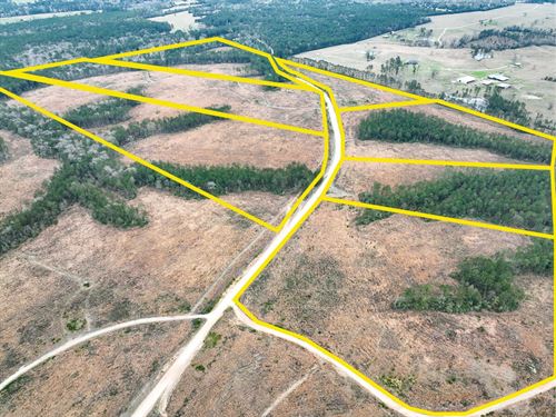 37 Acres, Paces Creek T-1B : Moscow : Polk County : Texas