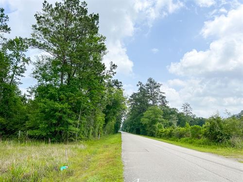 51 Acres, Cravens Camp Rd D-1 : Silsbee : Hardin County : Texas