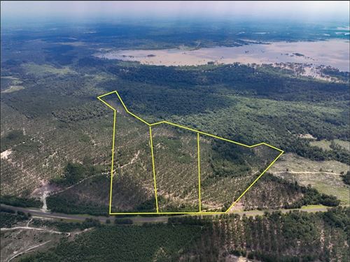 34 Acres, FM 92 T-12 : Homer : Tyler County : Texas