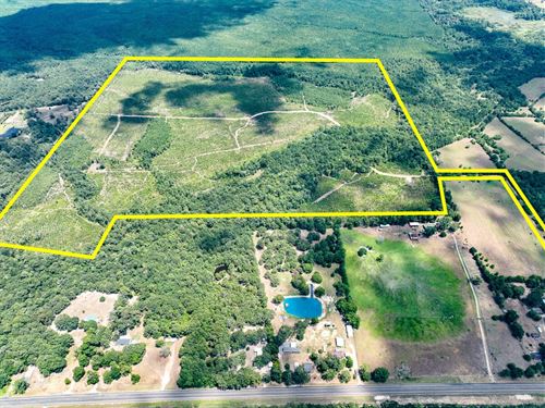 231 Acres, US 69 : Warren : Tyler County : Texas