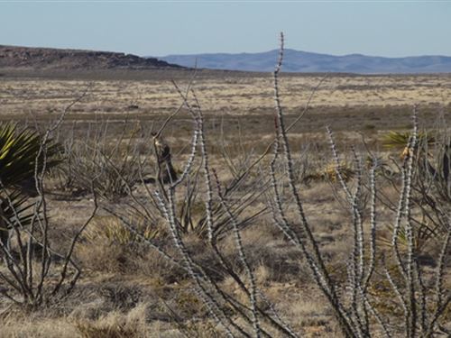 Buy 1 Get 1 20 Ac Property 1/4 Off : Sierra Blance : Hudspeth County : Texas