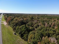 Livingston Hwy 59 31 ac : Livingston : Polk County : Texas
