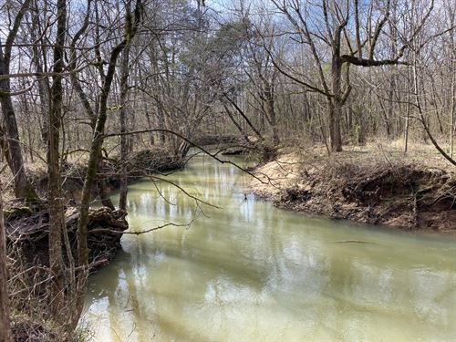 Muckleroy Creek 27 Acres : Ashville : Saint Clair County : Alabama