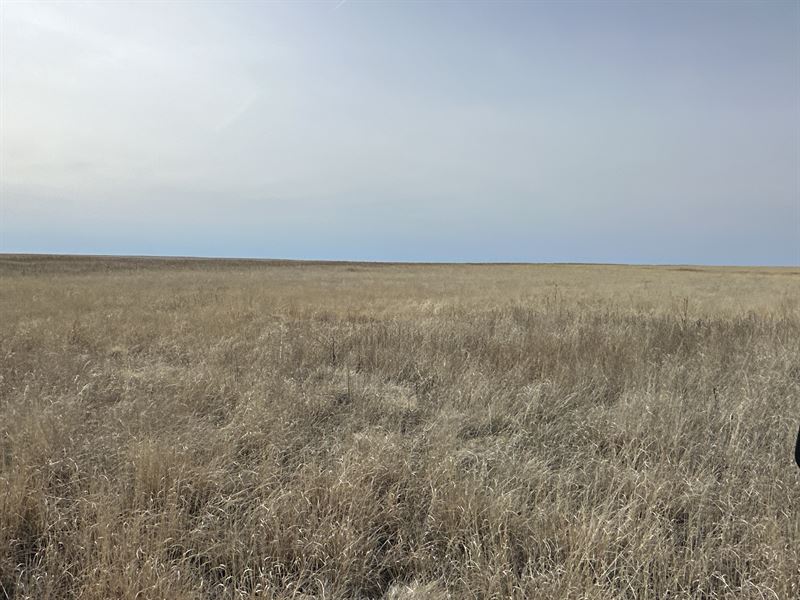 Kiowa County Income Property, 24013 : Haswell : Kiowa County : Colorado