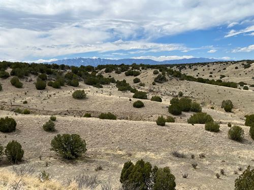 Black Horse at Hatchet Ranch : Pueblo : Colorado