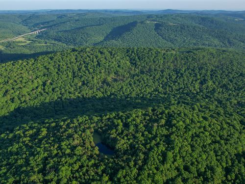 Wilderness Run : Winslow : Washington County : Arkansas