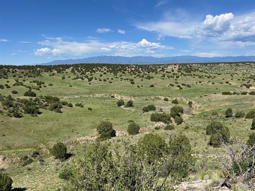 Hatchet Ranch 54 : Pueblo : Colorado