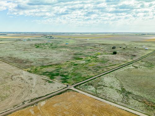 Homestead at Lost Creek : Bennett : Adams County : Colorado
