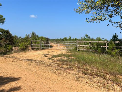 120 Acres Fayette County, AL : Fayette : Alabama