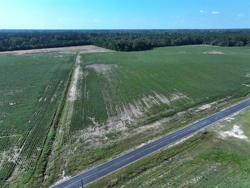 Spacious Residential Lot for Sale : Fairmont : Robeson County : North Carolina