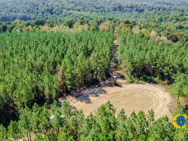 Hurricane Southeast Tract 3 : Stewart : Stewart County : Tennessee