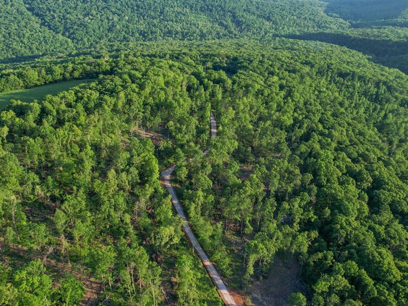 Wilderness Run 81 : Winslow : Washington County : Arkansas