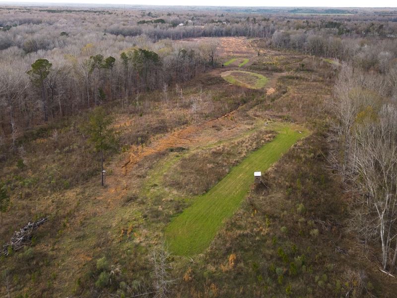 130 Acres with a Cabin in Claiborne : Hermanville : Claiborne County : Mississippi