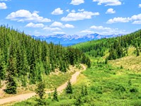 Secluded 10 Acre Mountain Getaway : Gunnison : Colorado