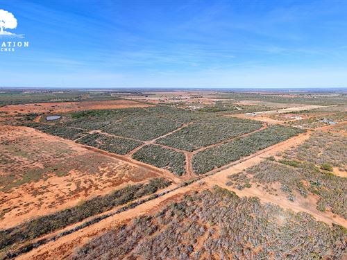 Jourdanton 101-T6, Only $15K Down : Jourdanton : Atascosa County : Texas