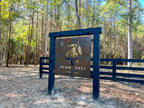 10 Acres, FM 350, T-2, Plum Cree : West Livingston : Polk County : Texas