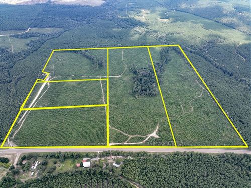 32 Acres, T-2, County Road 235 : Browndell : Jasper County : Texas