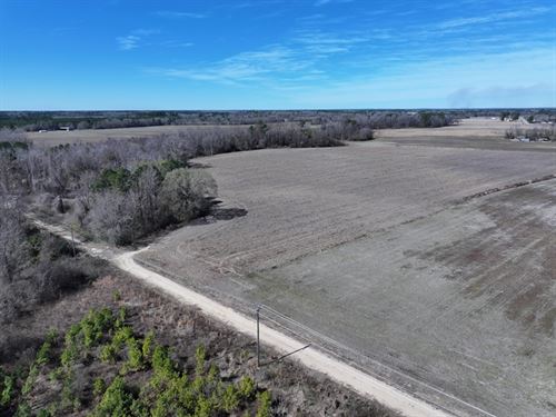 Spacious Residential and Farm Land : Parkton : Robeson County : North Carolina
