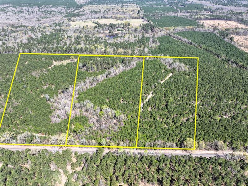 17.1 Acres, T-10, United Gas Road : Rodessa : Caddo Parish : Louisiana