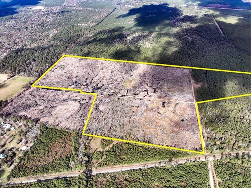 112 Acres, Old Honey Island Road : Honey Island : Hardin County : Texas
