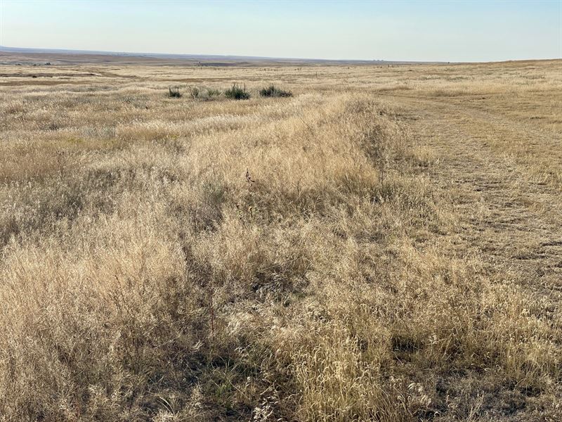 Deer Trail 35'S : Deer Trail : Elbert County : Colorado