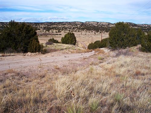 Red Creek Springs : Pueblo : Colorado