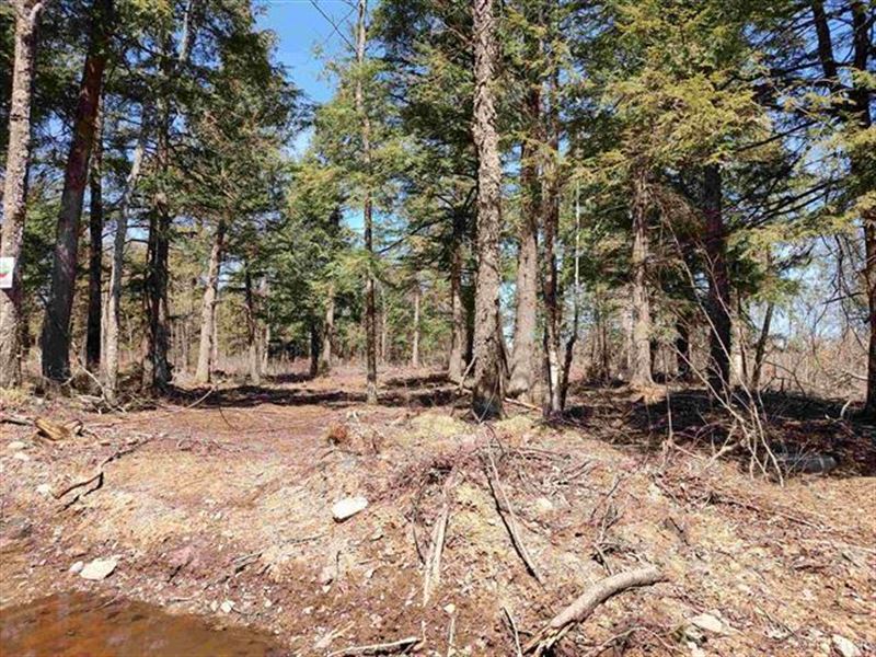Michigan's Pristine Wilderness : Skanee : Baraga County : Michigan
