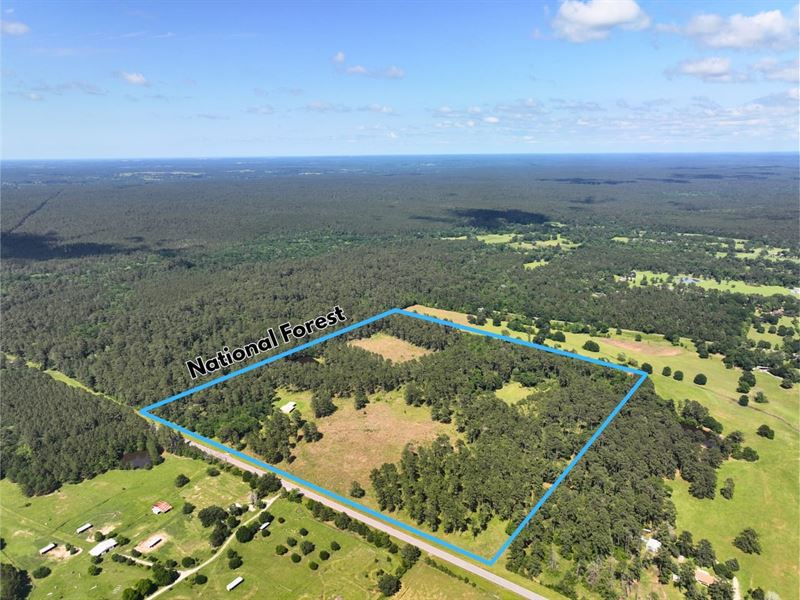 65 Acres, FM 1791 : Richards : Montgomery County : Texas