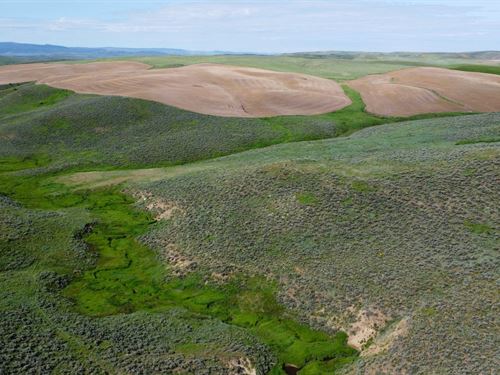 North Elkhead Tract 3 : Craig : Moffat County : Colorado