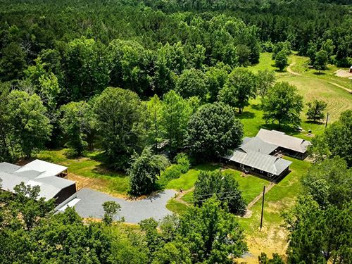 Home & Cabin on 123.66 Acres, McCa : McCall Creek : Franklin County : Mississippi