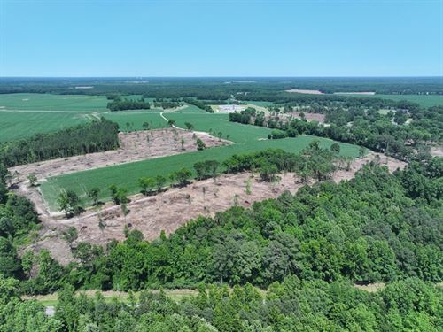 Large Farm in Red Springs NC : Red Springs : Robeson County : North Carolina