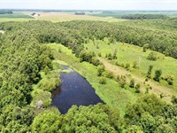 Deer And Duck Hunting Less Than : Earle : Crittenden County : Arkansas