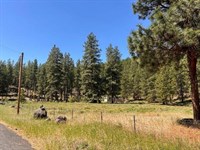 Enjoy Peace, and Privacy : Dorris : Siskiyou County : California