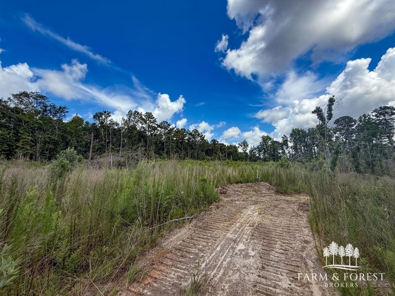 25 Ac, Coffee Co, Jack Tract 1 So : Jack : Coffee County : Alabama