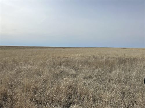Crowley County Crp Tract12, 24013.2 : Sugar City : Crowley County : Colorado