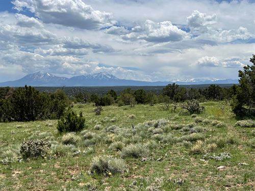 CR 521.3, Walsenburg, CO 81089 : Walsenburg : Huerfano County : Colorado