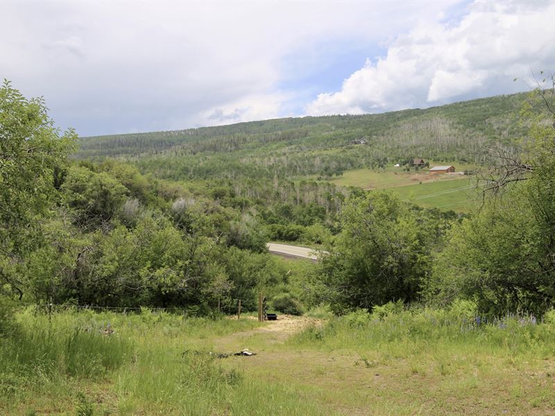 Oak Creek 36 : Oak Creek : Routt County : Colorado