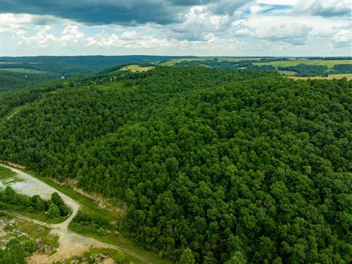 30 Acres, Hunting Property, Wood : Mountain View : Stone County : Arkansas