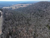 73 Wooded Acres in Ozark County : Gainesville : Ozark County : Missouri