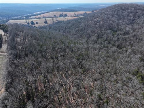 80 Wooded Acres in Ozark County : Gainesville : Ozark County : Missouri