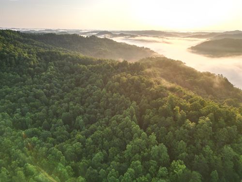 Bull Creek Gas, Oil And Coal 4355 : Cornettsville : Perry County : Kentucky