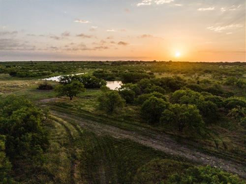 Wolf Hollow Ranch : Cross Plains : Coleman County : Texas
